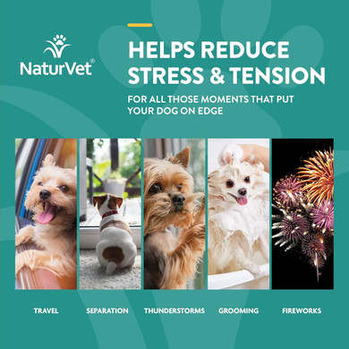 Naturvet  Hemp Quiet Moments Calming Drops  Enhanced With Hemp Seed Oil, L-Tryptophan & Ginger  Helps Reduce Stress & Promote Relaxation  For Dogs & Cats