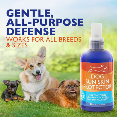 Ebpp Dog Sunscreen Sun Skin Protector Spray 8 Oz - Safe For All Breeds With No Zinc Oxide - Pet Protection And Moisturizer For Skin, Coat, Nose, Ears