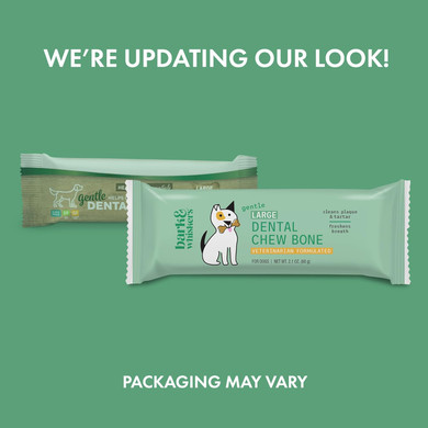 Dr. Mercola, Dental Chew Bones For Dogs, Large, 1 Box (12 Bones), Dog Dental Care That Helps Clean Teeth And Freshen Breath, Non Gmo, Soy Free, Gluten Free