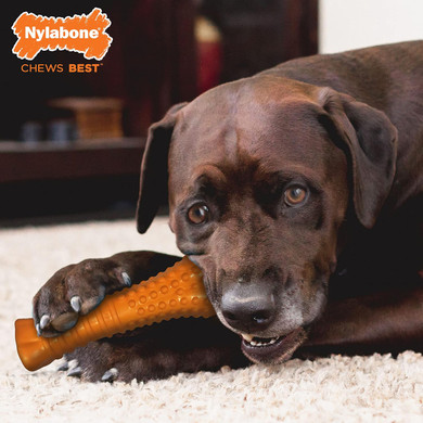 Nylabone Strong Chew Silver Collection Chew Toy For Senior Dogs, Beef Flavor, X-Large/Souper (1 Count)