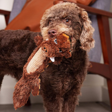 Pet Factory Shake & Squeak Flipsterz Plush Dog Toy, Randomly Selected - Tiger-Boar Or Beaver-Raccoon, One Size