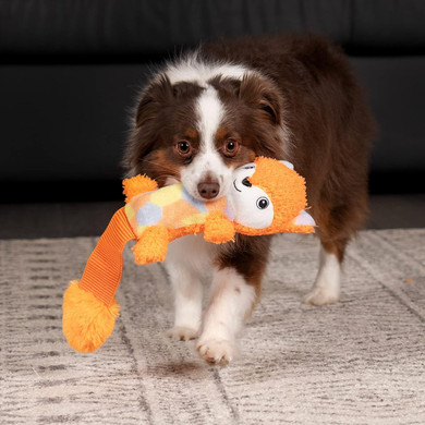 Pet Factory Shake & Squeak Cuddlez Plush Dog Toy, Randomly Selected - Fox Or Elephant, One Size