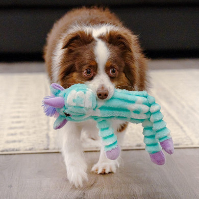 Pet Factory Shake & Squeak Cuddlez Plush Dog Toy, Randomly Selected - Pig Or Unicorn, One Size