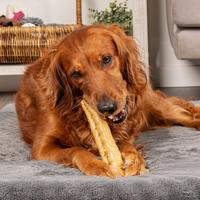 Pet Factory Carechewz Collagen +Plus 9" Rovers Dog Chew Treats - Chicken Flavor, 3 Count/1 Pack
