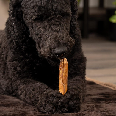 Pet Factory Carechewz Collagen Mini Rovers Dog Chew Treats - Chicken Flavor, 8 Oz