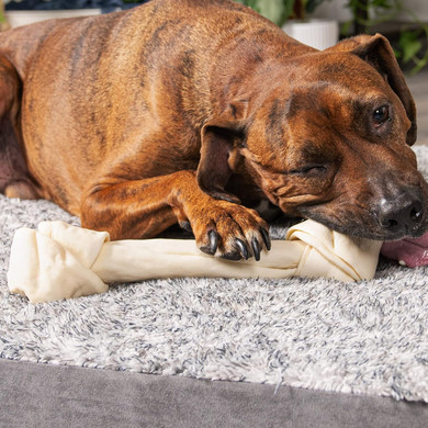 Pet Factory American Beefhide 12" Knotted Bone Dog Chew Treat - Natural Flavor, 1 Count/1 Pack