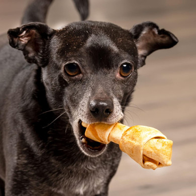 Pet Factory American Beefhide 4-5" Knotted Bones Dog Chew Treats - Chicken Flavor, 4 Count/1 Pack