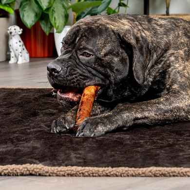 Pet Factory 100% Made In Usa Beefhide 8" Rolls Dog Chew Treats - Peanut Butter Flavor, 10 Count/1 Pack