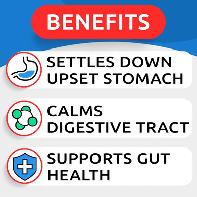 Pumpkin For Dogs - 16.2Oz Powdered Fiber Supplement And Stool Softener - Treat Diarrhea, Constipation, Upset Stomach, Food Sensitivity - Improve Digestion - Made In Usa