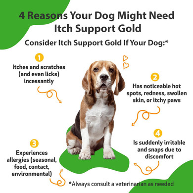 Pet Wellbeing Itch Support Gold For Dogs - Vet-Formulated - Itchy Skin & Paws, Hot Spots, Skin Allergies - Natural Herbal Supplement 2 Oz (59 Ml)