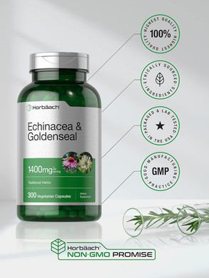 Horbã£Â¤Ach Echinacea Goldenseal Capsules | 1400Mg | 300 Count | Vegetarian, Non-Gmo, Gluten Free Extract Supplement