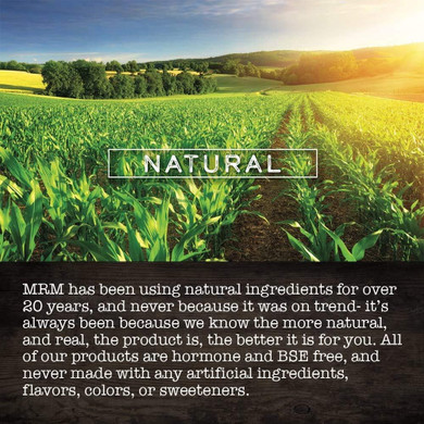 Mrm - Ginkgo Bã¢Â 60Mg 28:11-3% Ginkolide B 60 Vcaps