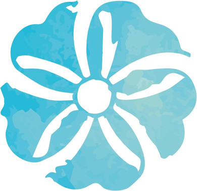 Hydrolatate neroli BIO Ladrome 200 ml