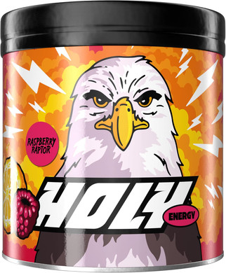 HOLY Energy Gaming Booster Flavour Powder | 50 portions with NewCaff & Green Tea Extract | Focus Booster - Focus Drink | Vegan with 100% natural fruit flavours (350 grams, Raspberry Raptor)