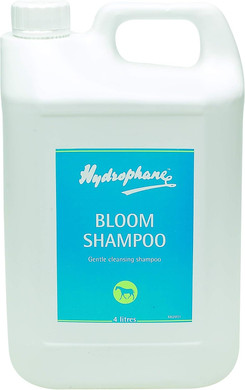 Hydrophane Bloom Shampoo 5 Liter - Clear, 5 Liter