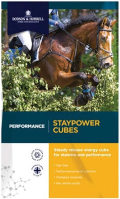 Dodson & Horrell Staypower Cubes 20Kg Horse Feed