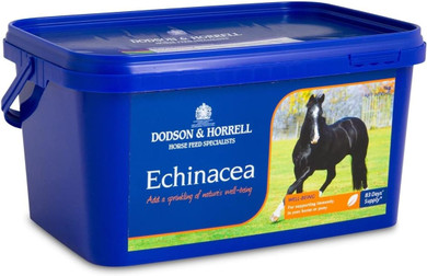 Dodson & Horrell Echinacea Horse Supplement, 1 kg