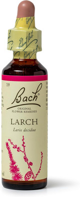 Bach Original Flower Remedies (Larch) Find Joy & Hope, Have Confidence, Emotional Wellness, Natural Flower Essence, 20ml