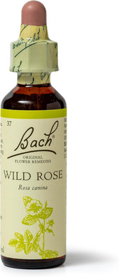 Bach Original Flower Remedies (Chestnut Bud) Live The Day, Learn from Mistakes, Emotional Wellness, Natural Flower Essence, 20ml (Pack of 5)