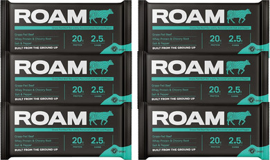 ROAM Natural Protein Bars, Meal Replacement Keto Bars, 12 x 45g Gluten Free Healthy Snacks, Low Calorie Snacks (Assorted Beef Bar Value Bundle)