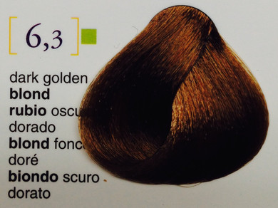 Salermvison Hair Coloring Cream #6.3 Dark Golden Blonde, 2.3 Ounce