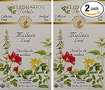 Celebration Herbals Organic Mullein Leaf Tea Caffeine Free - 2 Pack (48 Bags In Total)