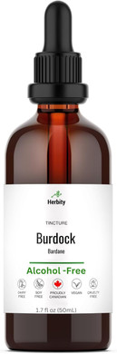 Burdock Root Tincture  Alcohol-Free Herbal Extract For Detox, Digestion & Antioxidant Support  Vegan, No Added Suga Supplement  1.7 Fl Oz (50 Ml)