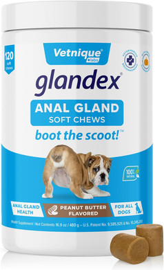 Vetnique Labs Glandex Anal Gland Soft Chew Treats With Pumpkin For Dogs Digestive Enzymes, Probiotics Fiber Supplement For Dogs Boot The Scoot (Peanut Butter Chews, 30 Count)