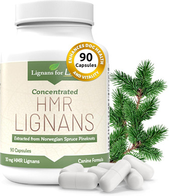 Lignans For Life Hmr Lignans 10Mg Capsules - Perfect For Small Dog Breeds - Vitamin For Healthy Pet | Multivitamin | Wellness Supplement | Nutritional