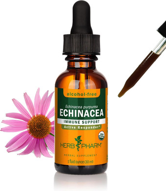 Herb Pharm Certified Organic Echinacea Root Liquid Extract For Immune System Support, Organic Cane Alcohol, 1 Ounce (Dech01)