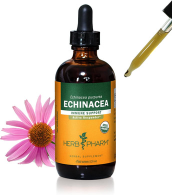 Herb Pharm Organic Echinacea Root Extract, Alcohol-Free: Immune System Support For All Seasons, Fast-Acting Echinacea Plant Supplement, Non-Gmo, Vegan & Gluten-Free, 1 Oz