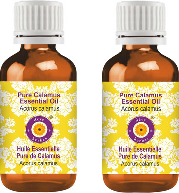 Dève Herbes Pumpkin Seed Oil (Cucurbita Pepo) | Cold Pressed | Pure | Natural | Undiluted | For Diluting Essential Oils | For Hair, Skin & Massage | Non-Sticky| Lightweight| Unisex | 15Ml (0.50 Oz)