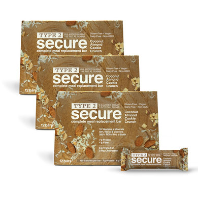 Andrew Lessman Type 2 Secure Complete Meal Replacement Bars  Peanut Butter Chocolate Chip  12 Ct Box  7G Protein, 0G Added Sugar, 1G Total Sugar, 16 Essential Vitamins & Minerals, Gluten-Free, Dairy-Free, Vegan, Non-Gmo