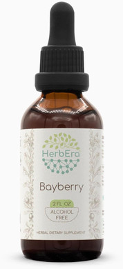 Bayberry B60 Alcohol-Free Herbal Extract Tincture, Super-Concentrated Bayberry (Myrica Cerifera) Dried Root (2 Fl Oz)