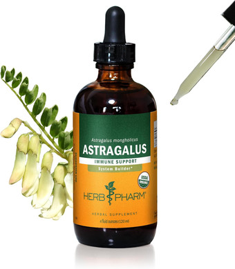 Herb Pharm Certified Organic Astragalus Liquid Extract For Immune System Support - 4 Ounce