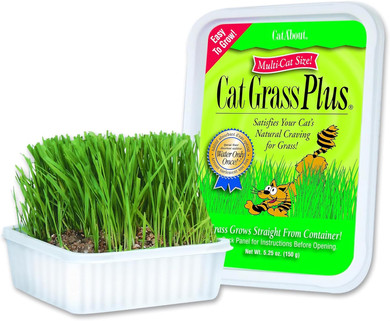 Miracle Care Cat A'Bout Cat Grass Kit For Indoor Cats, 5.25 Ounce, Hairball Control, Anti-Inflammatory, Improves Digestion And Metabolism