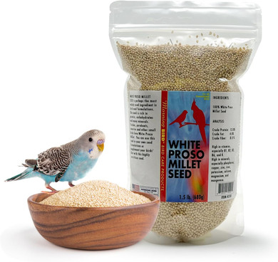 Morning Bird White Proso Millet Bird Seeds 1.5 Lbs  Healthy & Nutritious Pet Bird Food - Bird Seeds For Feather Growth  Perfect For Finches, Parakeets & Other All Pet Birds