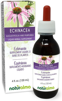 Naturalma Echinacea (Echinacea Angustifolia And Purpurea) Root And Herb Alcohol-Free Tincture - 4 Fl Oz Liquid Extract In Drops - Herbal Supplement - Vegan