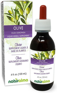 Naturalma Olive (Olea Europaea) Leaf Alcohol-Free Tincture - 4 Fl Oz Liquid Extract In Drops - Herbal Supplement - Vegan