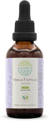 Nexus Formula B60 Alcohol-Free Extract Tincture, Liquid Drops: Ginger Root, Meadowsweet Herb, St. John'S Wort Herb, White Willow Bark. 2 Fl Oz