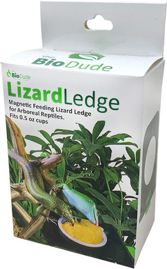 The Bio Dude Magnetic Lizard Ledge Green 0.5 Oz - Feeding Ledge For Geckos And Lizards