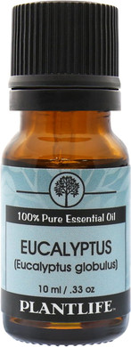 Plantlife Eucalyptus Aromatherapy Essential Oil - Straight From The Plant 100% Pure Therapeutic Grade - No Additives Or Fillers - 10 Ml
