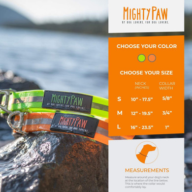 Mighty Paw Waterproof Dog Collar - Smell-Proof Active Gear - Reflective Stripe Coated Nylon Webbing - Waterproof Collar - Comfortable Dog Collar For All Dog Breeds - Dog Collar Durable (Green, Small)Green