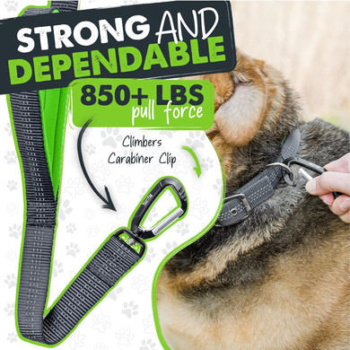 Mighty Paw Two Handle Dog Leash - Built-In Traffic Loop - Carabiner Clip - Double Padded Handles - Suitable For Small To Large Pets - 6' Two Handles Dog Leash - Dog Leash With Traffic Handle (Grey)Grey
