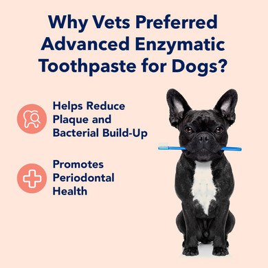 Vets Preferred Dog Enzymatic Toothpaste  Safe And Natural Dog Oral Care Toothpaste  Freshens Breath, Fights Plaque And Reduces Tatar  Tasty Peanut Butter Flavor  3 Oz