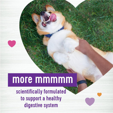 Wellness Pumpkin Patch Flavored Soft Chew Digestive Health Supplements For Dogs, 45 Count45 Count