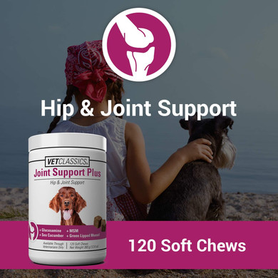 Vet Classics Joint Support Plus Dog Supplement - Hip Health Supplement For Dogs  Alleviates Aches And Discomfort - For Flexibility, Healthy Joint Function In Canines  Antioxidants  120 Soft Chews120 Soft Chews