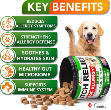 Vet Promise Dog Allergy Chews - Itch Relief For Dogs - Dog Allergy Relief - Anti Itch For Dogs - Dog Itchy Skin - Dog Allergy Support - Hot Spots - Immune Health Supplement - Made In Usa - 120 Treats120 Chews