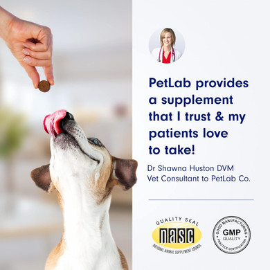 Petlab Co. Skin & Coat Chew - Optimize Scalp And Fur Condition With A Tasty Dog Chew, Packed With Beneficial Fatty Acids, Vitamins And Apple Cider Vinegar To Deliver Comfort And Support A Healthy Coat