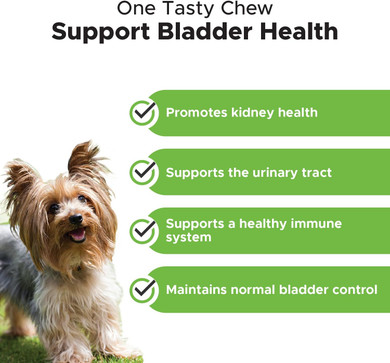 Pethonesty Cranberry Bladder Health + 10 In 1 Dog Multivitamin Soft Chew Supplement Bundle - Bladder Support, Probiotics For Dogs, Cranberry Pills, Dog Uti Treatment, Pet Antibiotics, Dog Allergy Vita